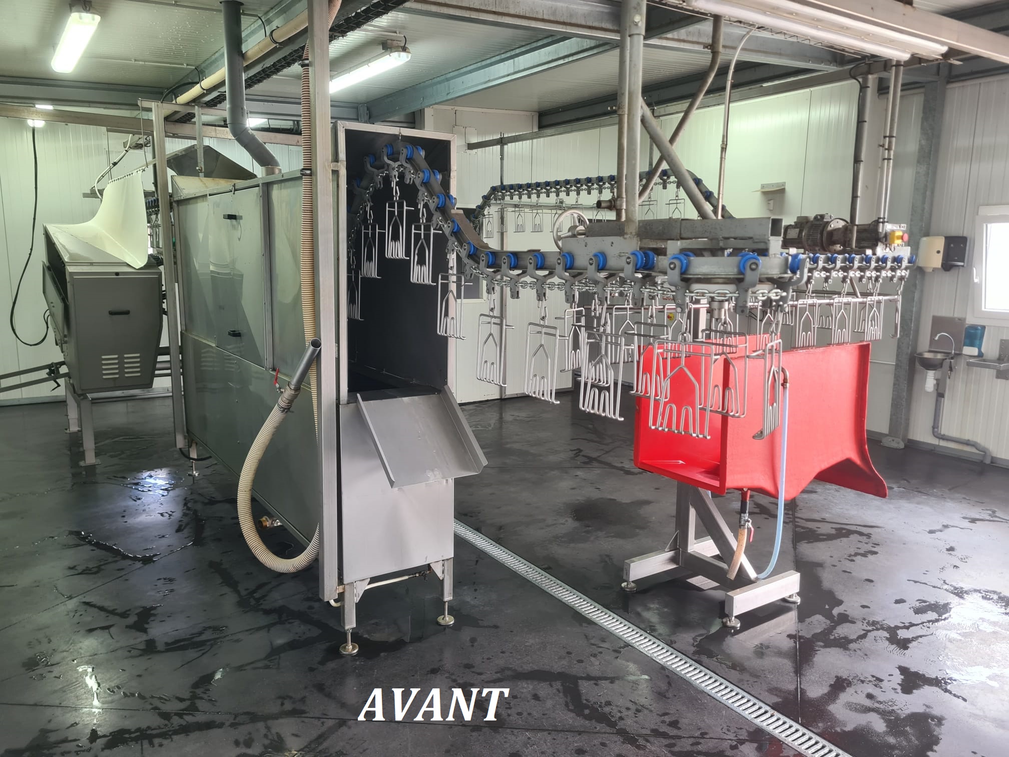 1 AVANT