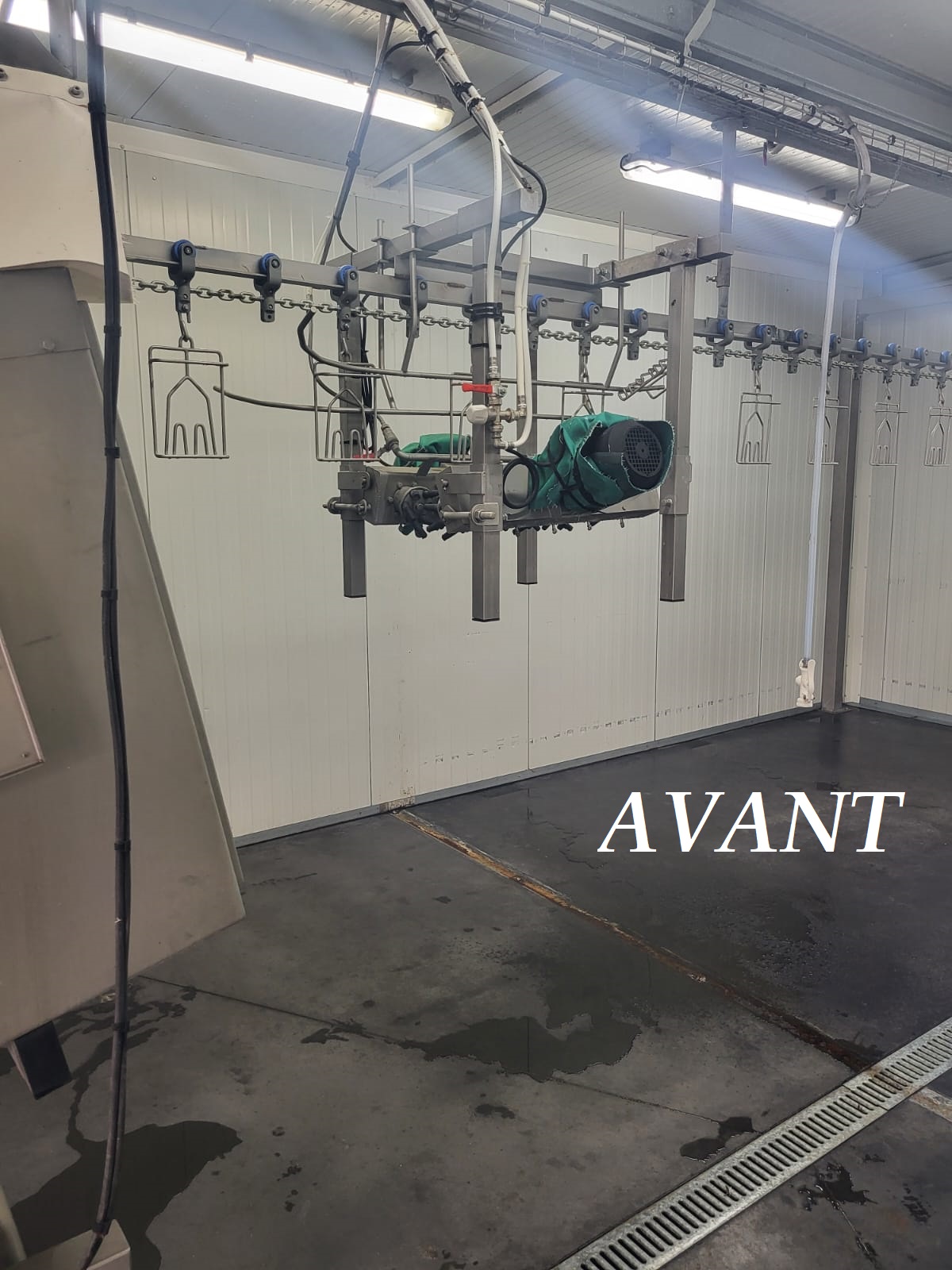 2 AVANT