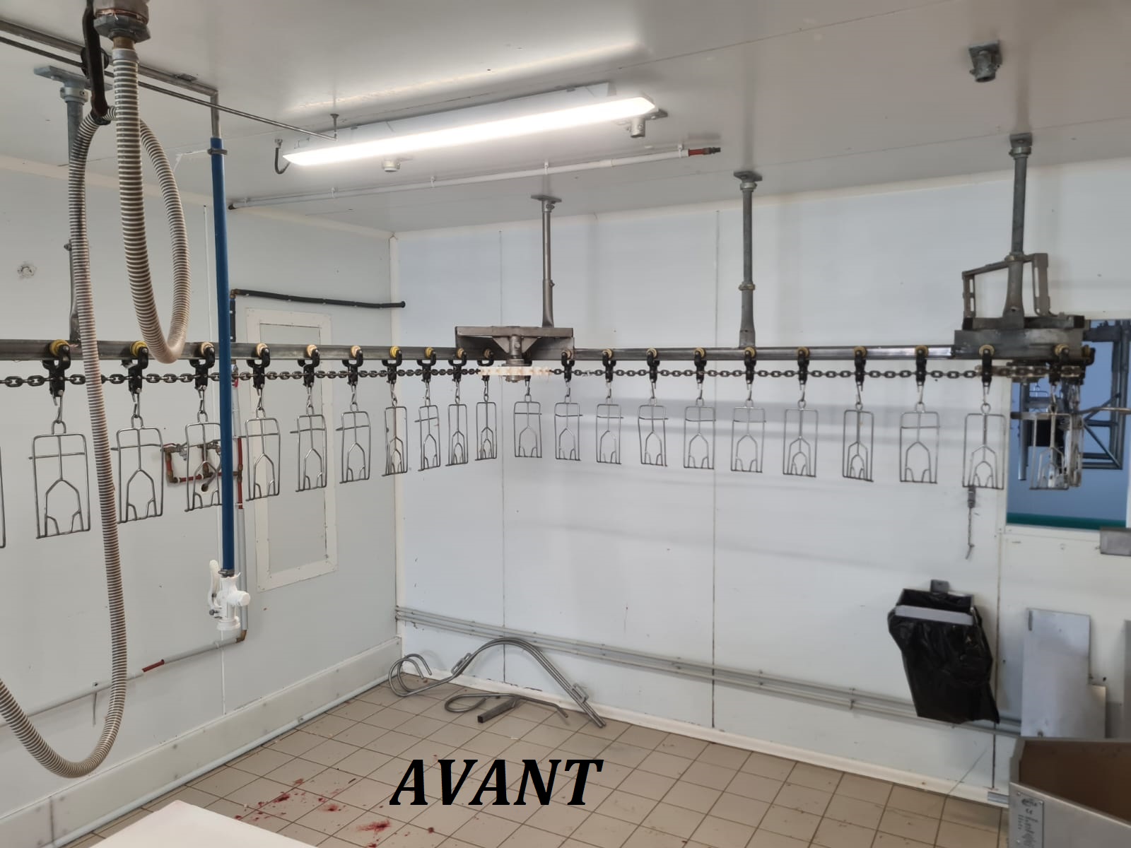 3 AVANT